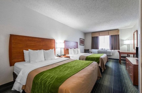 Westminster Apartment | Great value hotel between Denver and Boulder