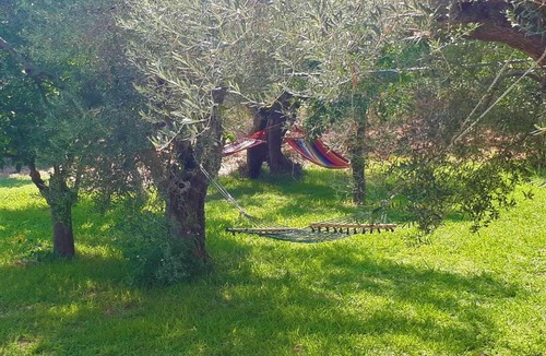 Marathias House | Greek village life by the sea
