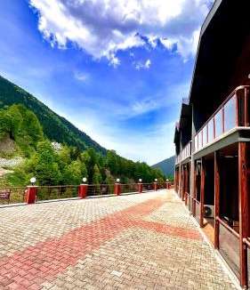 Uzungol Apartment | Green Cinar Apart