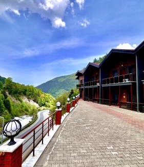 Uzungol Apartment | Green Cinar Apart