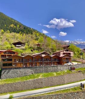 Uzungol Apartment | Green Cinar Apart