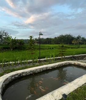Bohorok House | Green Corner VILLA