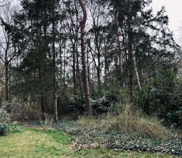 Hellendoorn House | Green Escape Hellendoorn rust & natuur