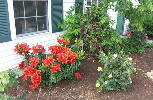 Odon House | Green Gables B&B sleeps 24, 6 bdrms 8 beds 5 1/2 baths 2-Full ktch din lvng rms