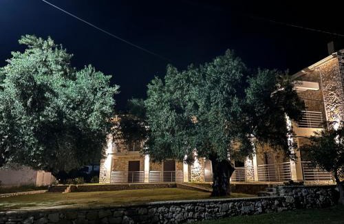 Valanidorrachi Hotel | Green Hill