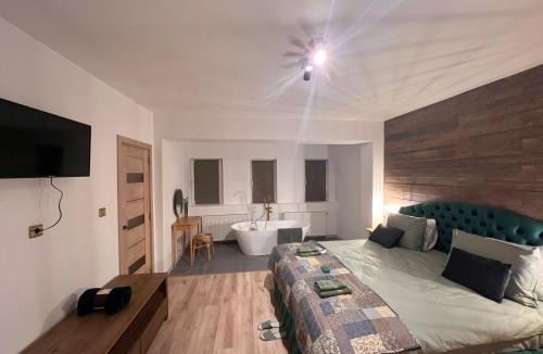 Miercurea-Ciuc House | Green Home