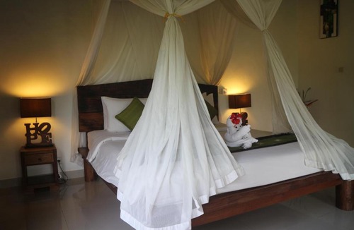 Kelusa House | Green House 2 BR PRIVATE POOL VILLA