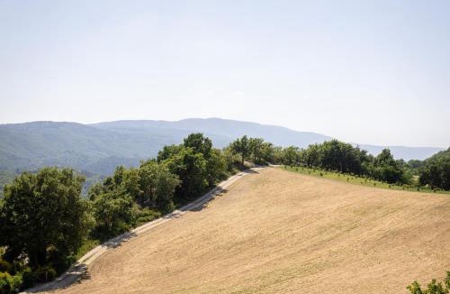 Montjustin Other | Green Luberon Domain