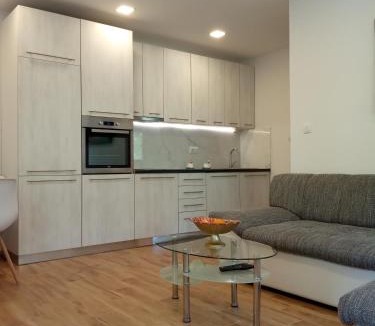 Radanovici Apartment | Green Side