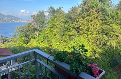 Carciano Villa | Green Villa