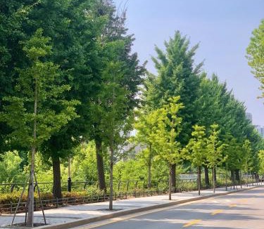 Anam-dong Villa | GreenFlow 청계