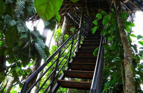Kalloor Villa | Greens Tree House & Wood House