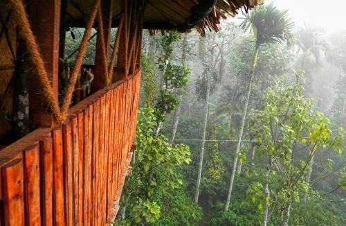 Kalloor Villa | Greens Tree House & Wood House