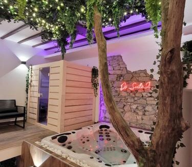 Quartier Chorier-Berriat Hotel | Grenoble LA SUITE 2 spa jaccuzzi et sauna privatif