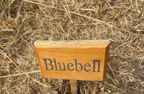 Aylmerton Other | Gresham Hall Glamping