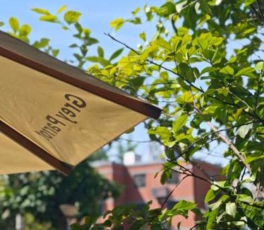 Jinniu Hotel | Grey Parrot Resort Hotel
