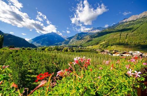 Lagundo Apartment | Grieserhof Algund