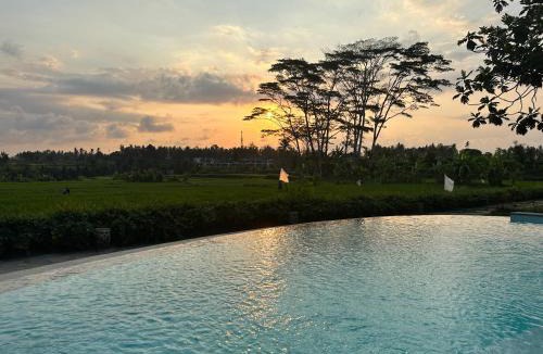 Mas Hotel | GRIYA KCB VILLA
