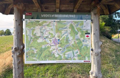 Furtwangen Apartment | Große Schwarzwald-FeWo mit Naturblick in Neukirch
