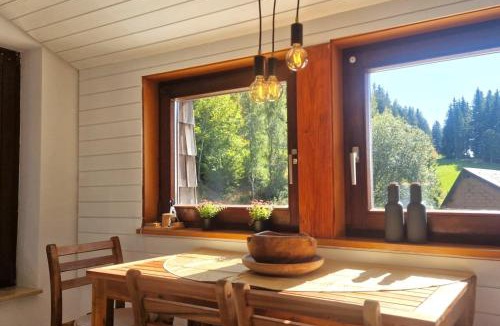 Furtwangen Apartment | Große Schwarzwald-FeWo mit Naturblick in Neukirch