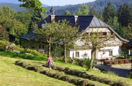 Bayerisch Eisenstein Apartment | Große Wohnung in Bayerisch Eisenstein by Interhome