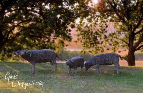 Tulbagh Villa | GROOT WITZENBERG a place of heritage nature and quiet luxury coming Spring 2026