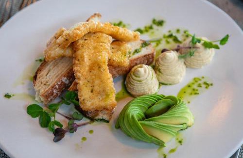 Gansbaai Hotel | Grootbos Private Nature Reserve