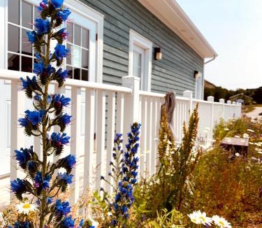 Norris Point Cabin | Gros Morne BaseCamp
