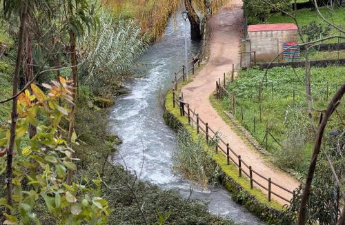 Leiria House | Grota Lodging