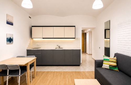 Zizkov Apartment | Ground Floor Apartment