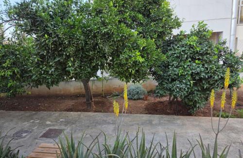 Limassol Apartment | Ground floor Apt with a garden view