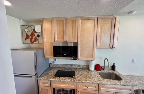 South Peninsula Historic District Condo | Ground Level Corner Unit with Windows Both on Gulf/pool
