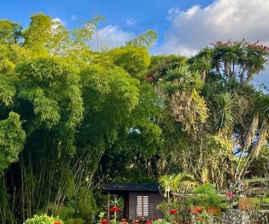 Salento House | Gue Guatok