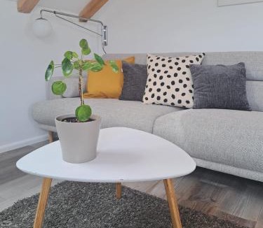 Split House | Guest House Kala