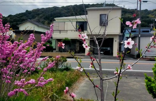 Makinohara House | guest house SEA HORSE