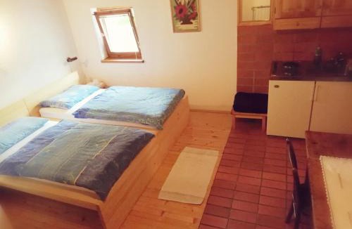 Ljubno ob Savinji House | Guest House Turistična kmetija Plaznik