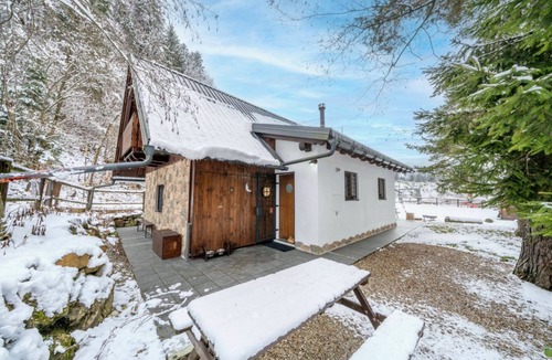Tarvisio Ski Chalet | GuestHost - A large and charming renovated chalet with a private entrance, measuring 145 square meters, perfect for 10 people.The property, located in a quiet and private location, is surrounded by woods yet only 800 meters from the ski slopes and bike p