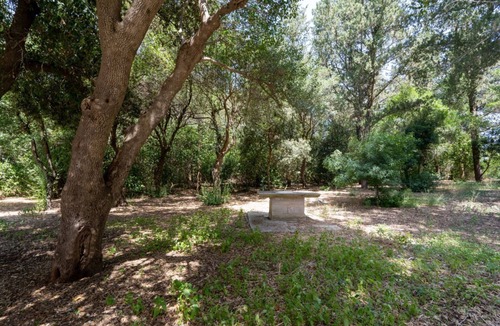 Cozzana Apartment | GuestHost - Nice apartment that hosts up to 2 people, located in an old farmhouse dating back to the 19th century, furnished with taste and meticulous recovery of the original materials. The accommodation is located in Cozzana, a quiet and verdant distri