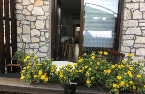 Jezerce Apartment | Guesthouse Family Bosnic -One bedroom apartment with Terrace