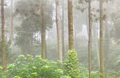 Yercaud Hotel | GURU RESIDENCY