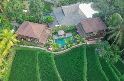 Ubud Hotel | Gusde House Villas