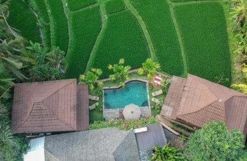 Ubud Hotel | Gusde House Villas