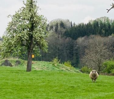 Aachen Apartment | Gut Kalkhäuschen, ein Ort mit Geschichte