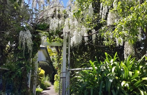 Havelock North Cottage | Guthrie Cottage In the Village of Havelock North