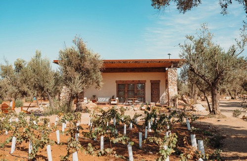 Valle de Guadalupe Villa | Hábimo