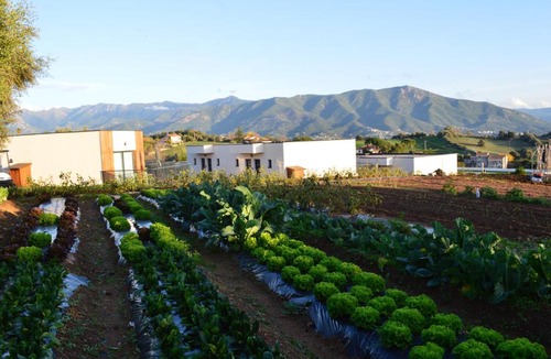 Afa Hotel | Hôtel Casa Matteu