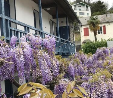 Lourdes House | Hôtel du Clos Fleuri