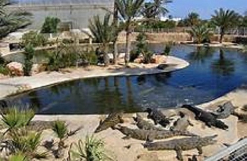 Houmt Souk Hotel | Hôtel Les Palmes d'Or