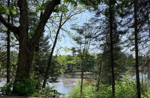 Rawdon Other | Hôtel UNIQ - Forêt Ô Cascades - Tentes Glamping