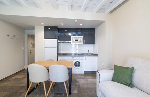 Central District Apartment | H2Granada Rooftop Terrace & Parking & Pet Friendl